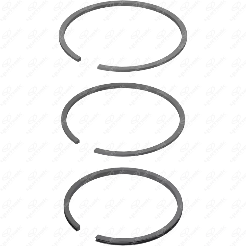 307 086 2001